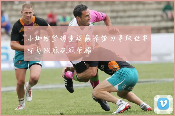 小蜘蛛梦想重返巅峰努力争取世界杯与欧冠双冠荣耀
