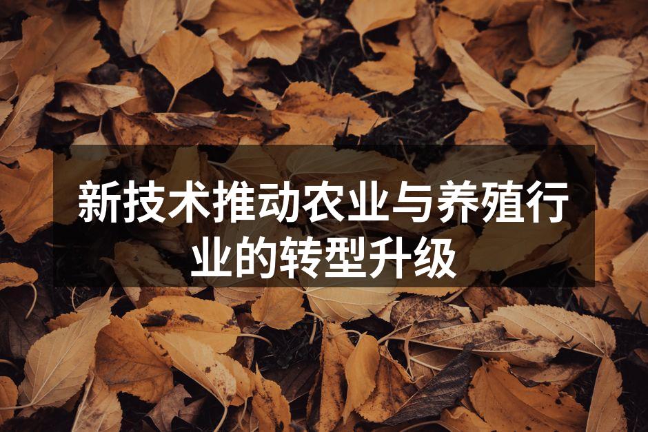 新技术推动农业与养殖行业的转型升级